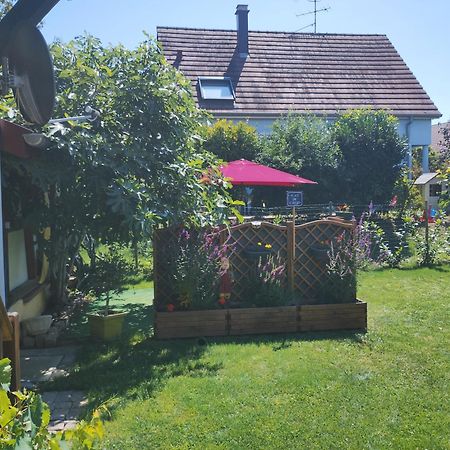 Gite Alsace Appenwihr Zewnętrze zdjęcie
