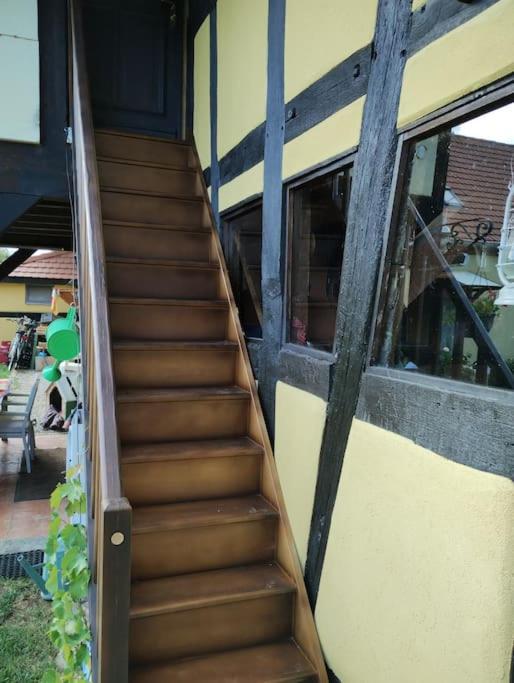 Gite Alsace Appenwihr Zewnętrze zdjęcie