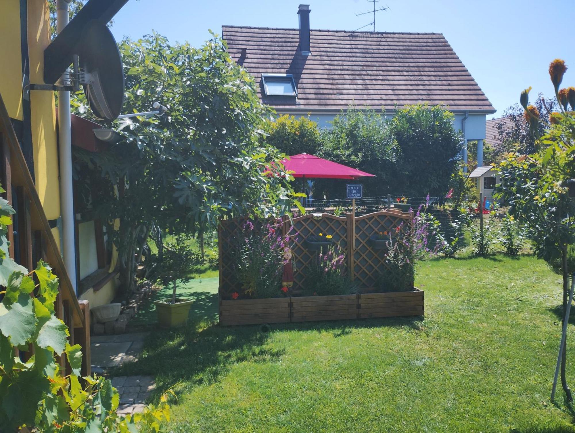 Gite Alsace Appenwihr Zewnętrze zdjęcie
